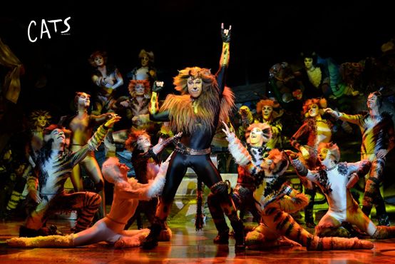 2021音乐剧猫CATS石家庄站
