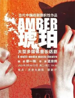 2025话剧《琥珀》天津站