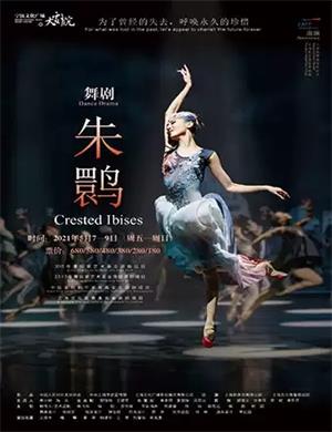 2025舞剧《朱鹮》宁波站