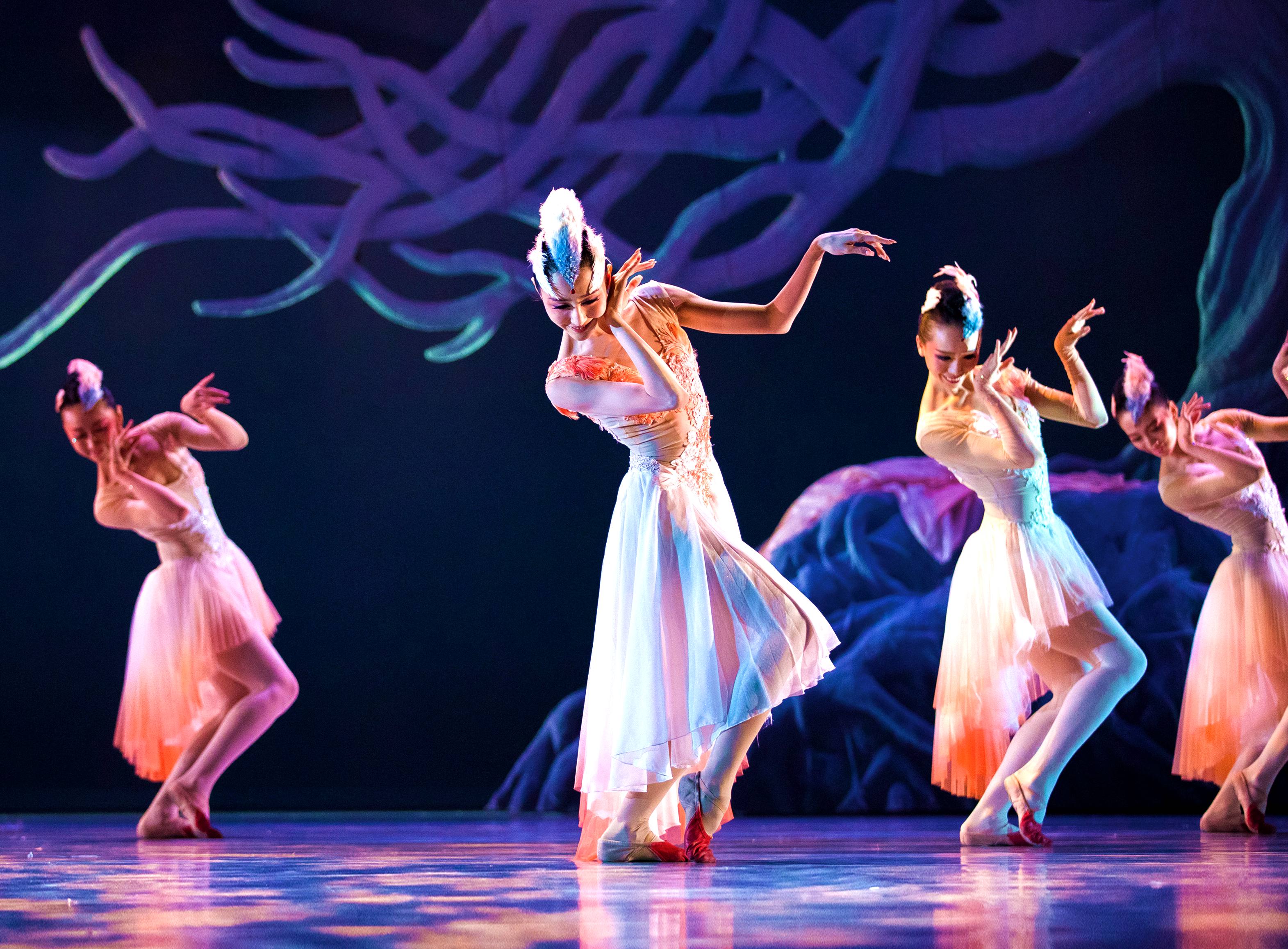 2021舞剧《朱鹮》宁波站