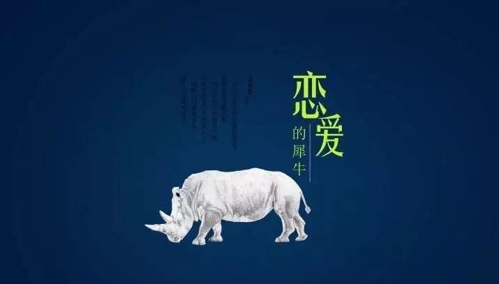 2022戏剧《恋爱的犀牛》天津站时间、地点、演出一览