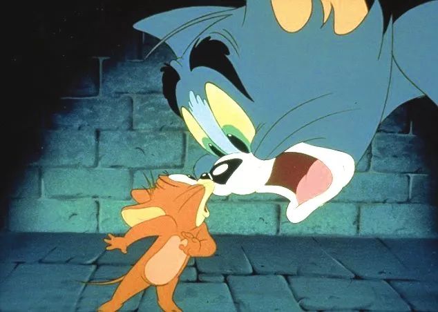 猫和老鼠金华音乐会