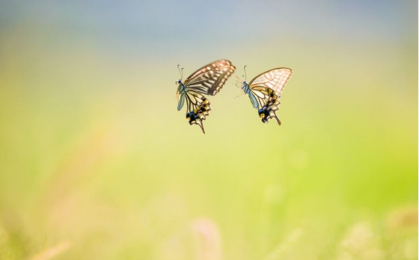 2021梁祝北京音乐会