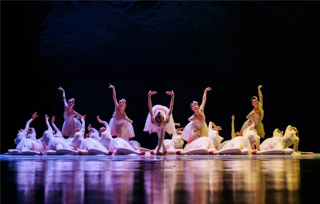 2021舞剧《朱鹮》宁波站