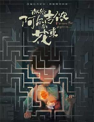 2025音乐剧《献给阿尔吉侬的花束》烟台站