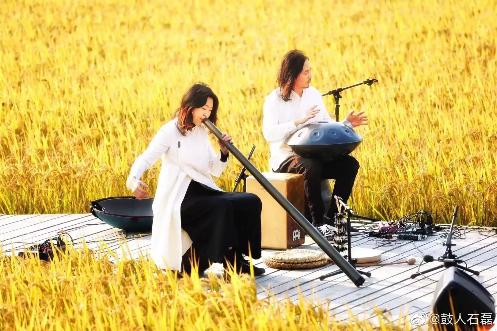 2021《春分夏至》自然物语音乐会-广州站 2021《春分夏至》自然物语音乐会-广州站