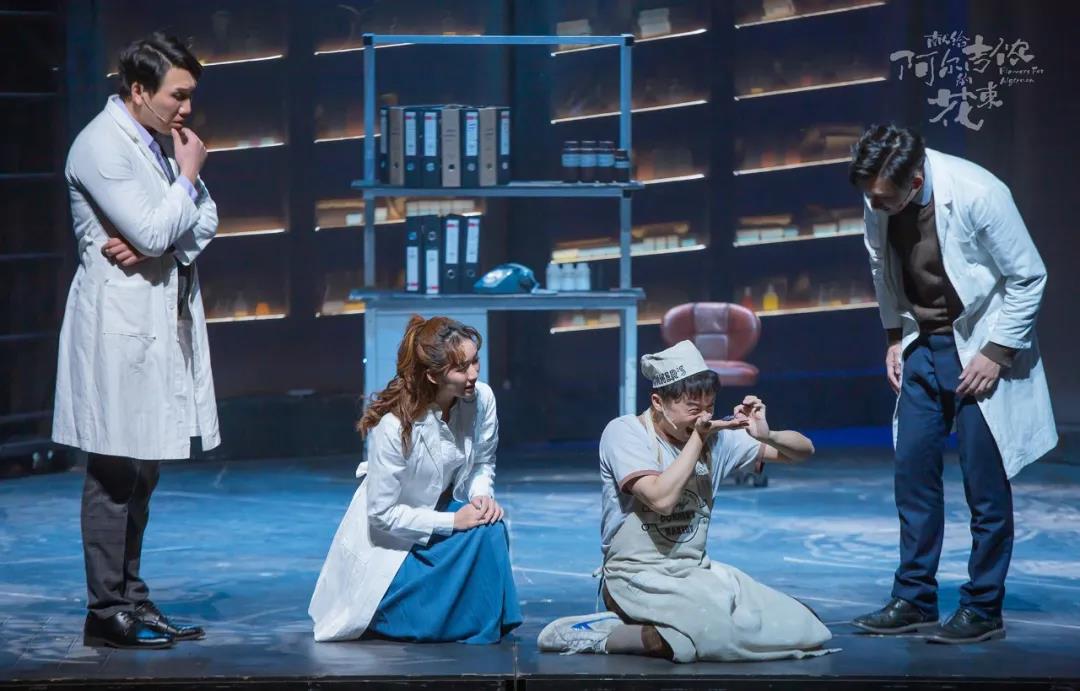 2021音乐剧《献给阿尔吉侬的花束》烟台站时间、地点及演出详情