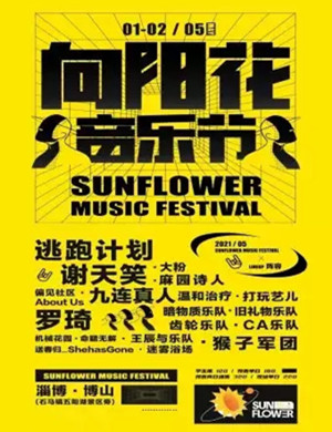 2025淄博向阳花音乐节