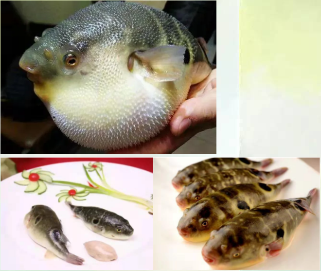 2021扬中市第18届河豚文化节闭幕式