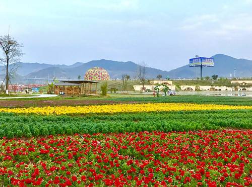 2021成都希望音乐节门票哪里买？在哪里演出？