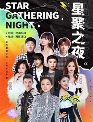 星聚之夜海口群星演唱会