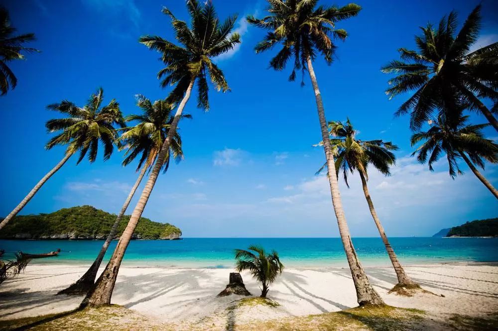 2021海南MDSK音乐节时间、地点、票价