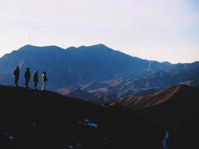 2021深圳柑橘音乐节阵容、门票价格