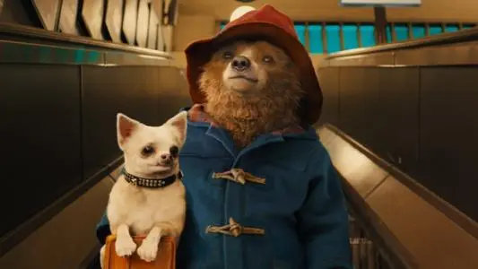 2021外百老汇亲子剧《帕丁顿熊之小熊当家》中国制作版-上海站