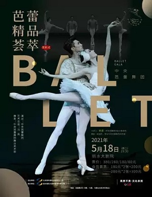 芭蕾舞《芭蕾精品荟萃》丽水站