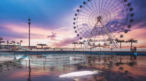 2021秦皇岛海豚音乐节时间、地点、门票