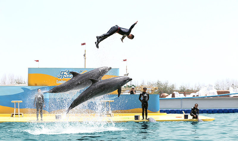 2021秦皇岛海豚音乐节时间、地点、门票
