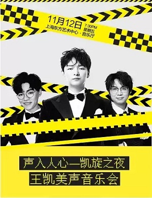 2025王凯上海音乐会