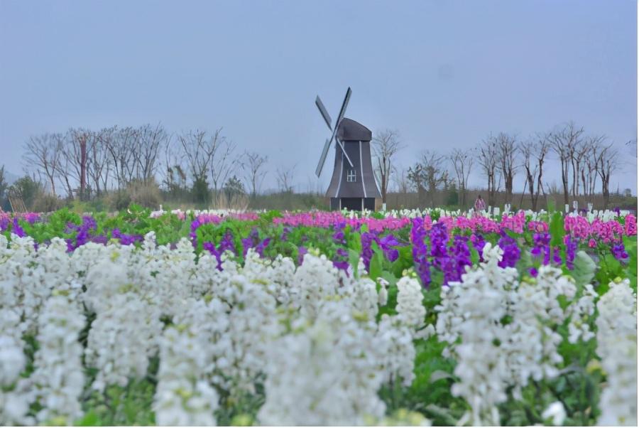 成都希望音乐节2021时间+地点+演出阵容