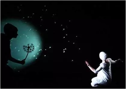 2021儿童剧《天鹅湖》青岛站时间、地点、演出详情 2021儿童剧《天鹅湖》青岛站时间、地点、演出详情