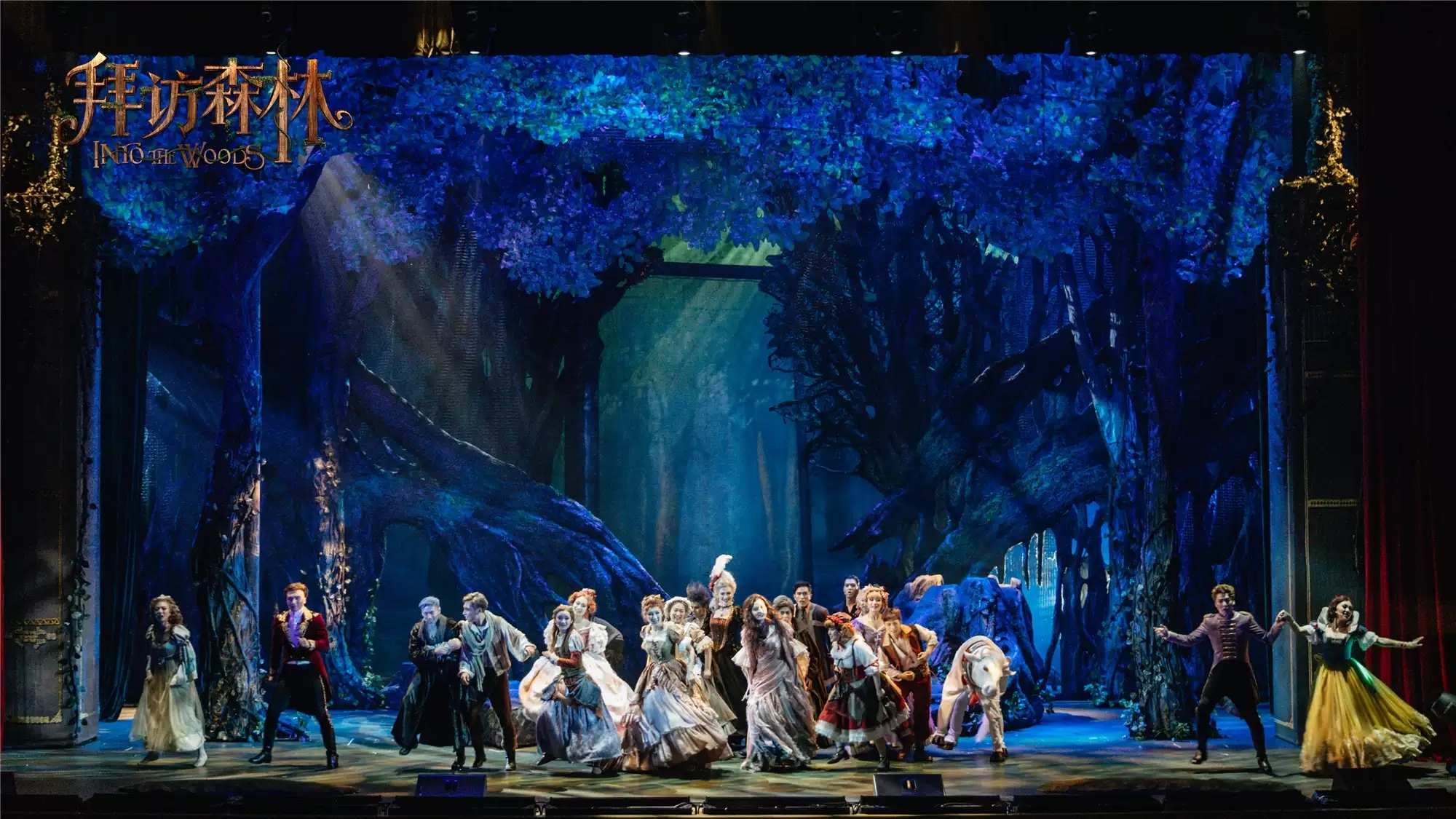 2021百老汇经典音乐剧《拜访森林》中文版-东莞站 2021百老汇经典音乐剧《拜访森林》中文版-东莞站