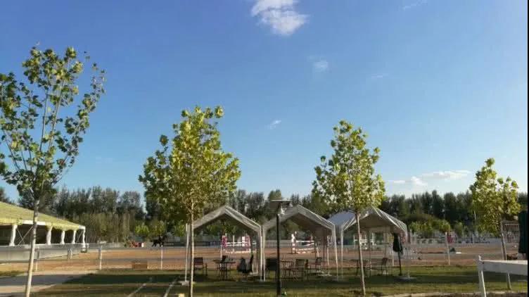 2021亲子马术体验北京站时间、地点、门票票价