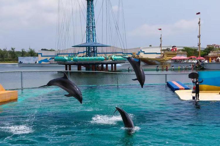 2021秦皇岛海豚音乐节（时间、地点、门票票价）