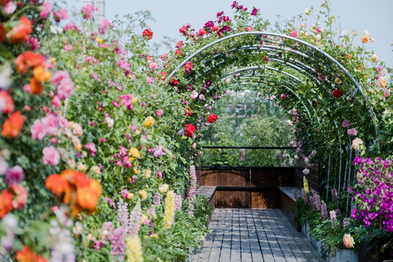 2021艺术展《光之森林》北京站票价多少？