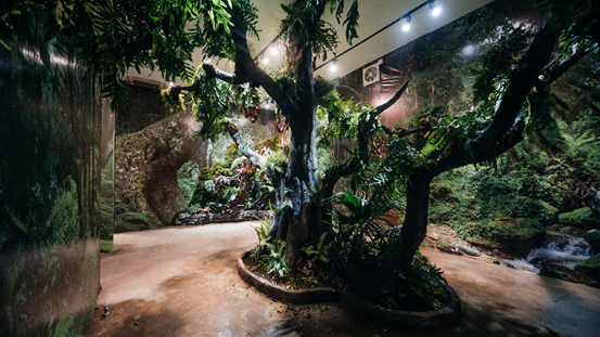 2021艺术展《光之森林》北京站票价多少？