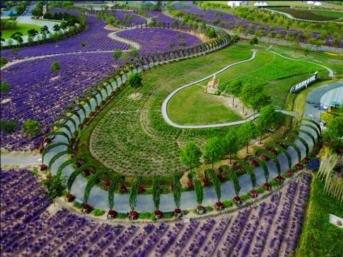 2021上海海潮音乐嘉年华时间、场馆、交通攻略