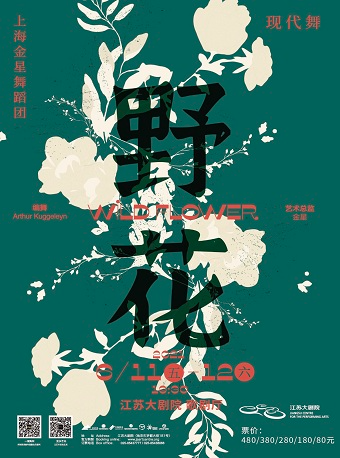 2021现代舞《野花》南京站演出详情+购票方式 2021现代舞《野花》南京站演出详情+购票方式