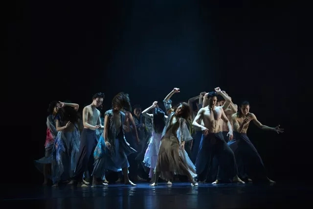 2021现代舞《野花》南京站演出详情+购票方式 2021现代舞《野花》南京站演出详情+购票方式