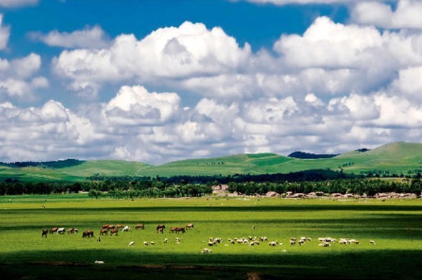 2023张北草原音乐节时间、地点、门票、阵容