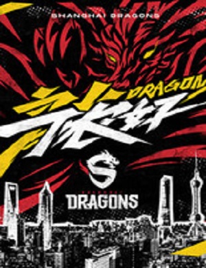 龙之队主场比赛上海站