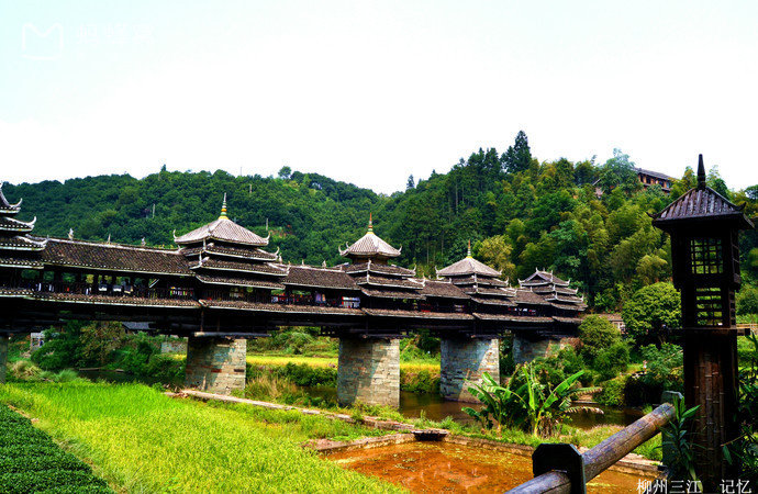 2022柳州三江斗牛音乐节阵容介绍及门票购买