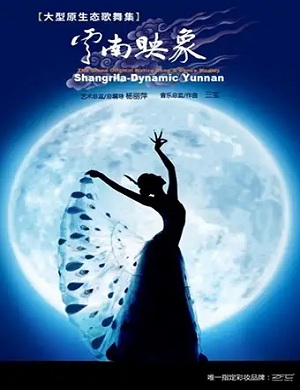 2025歌舞剧云南映象长沙站