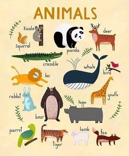 2022音乐会《动物狂欢节》杭州站时间、地点、门票价格