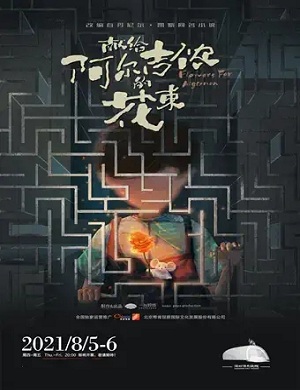 2025音乐剧献给阿尔吉侬的花束深圳站