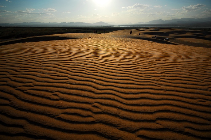 2023张家口MTA天漠音乐节门票价格、阵容介绍、时间地点