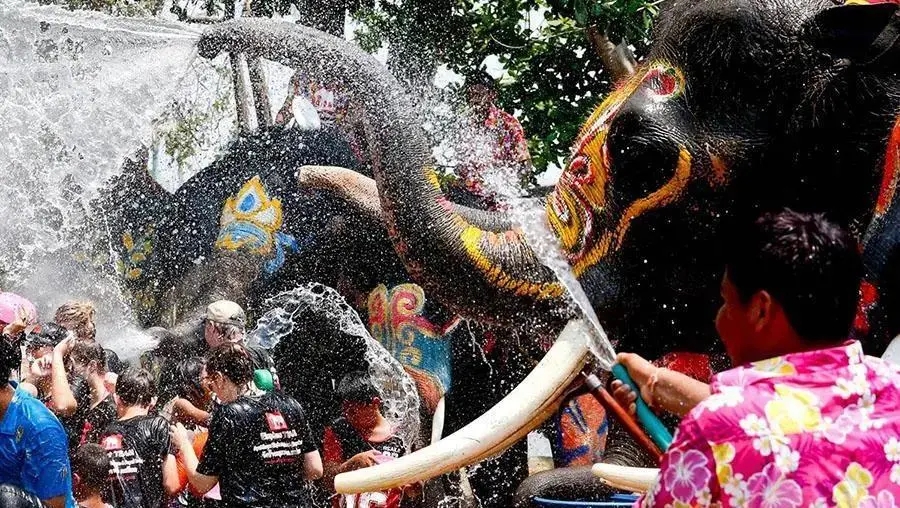 2021广州盛夏泰式水战精酿嘉年华都有哪些活动？门票价格多少？