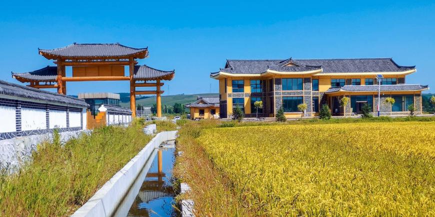 2021延边和龙延安村稻田电音节演出详情+门票价格 2021延边和龙延安村稻田电音节演出详情+门票价格