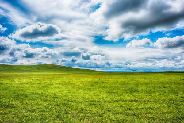 2021包头城中草原音乐节时间、阵容、门票价格