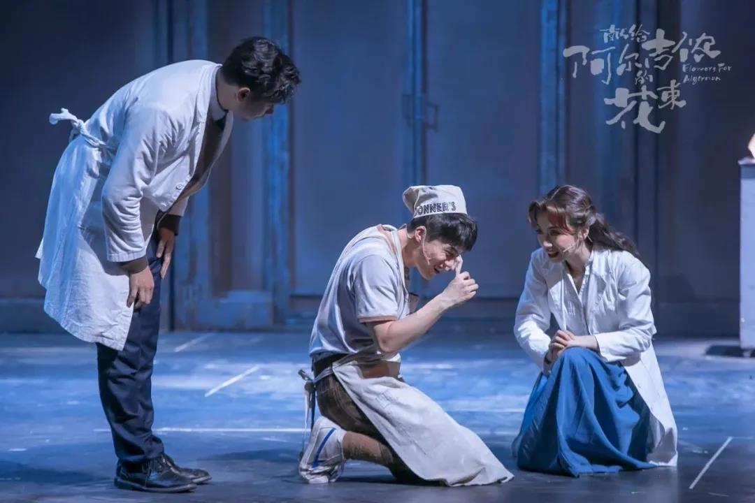 2021音乐剧《献给阿尔吉侬的花束》长沙站时间地点、购票入口