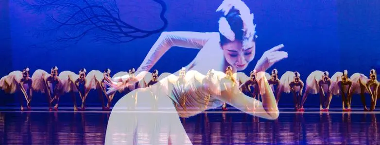 2021舞剧《朱鹮》佛山站时间、地点、门票价格 2021舞剧《朱鹮》佛山站时间、地点、门票价格