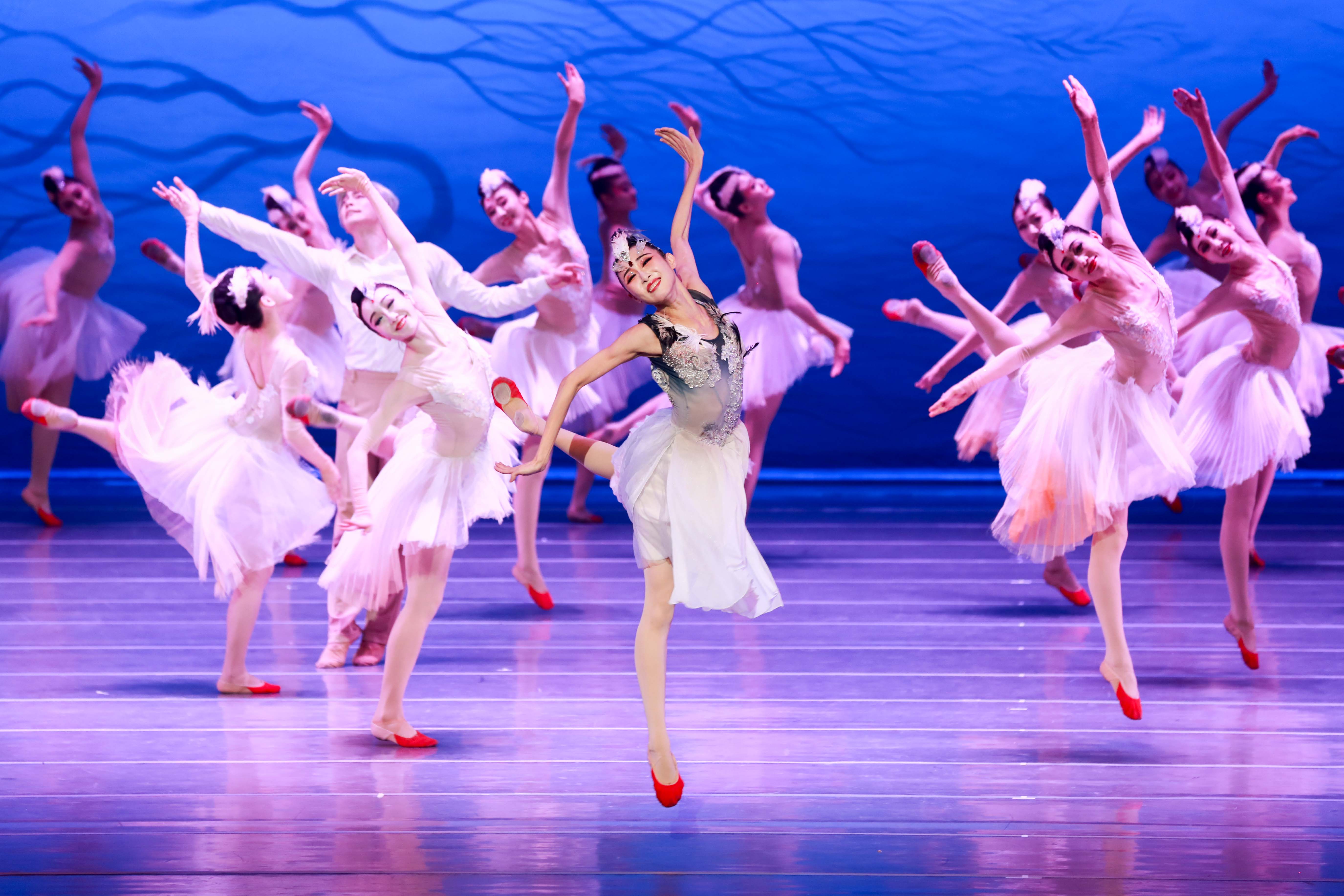 舞剧《朱鹮》佛山站时间地点/订票链接