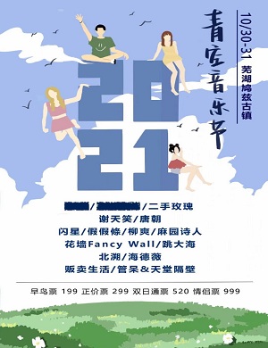 2025芜湖青空音乐节