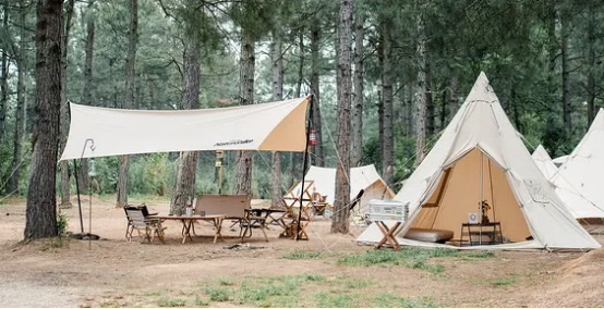 2021潮拜72小时Trendsetters Art and Music Tour-成都站