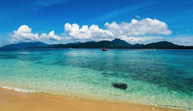 2021海南万宁麦田音乐节阵容、门票及购票网址 2021海南万宁麦田音乐节阵容、门票及购票网址