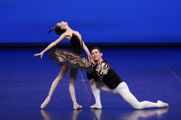 2021中央芭蕾舞团《芭蕾精品荟萃》-郑州站