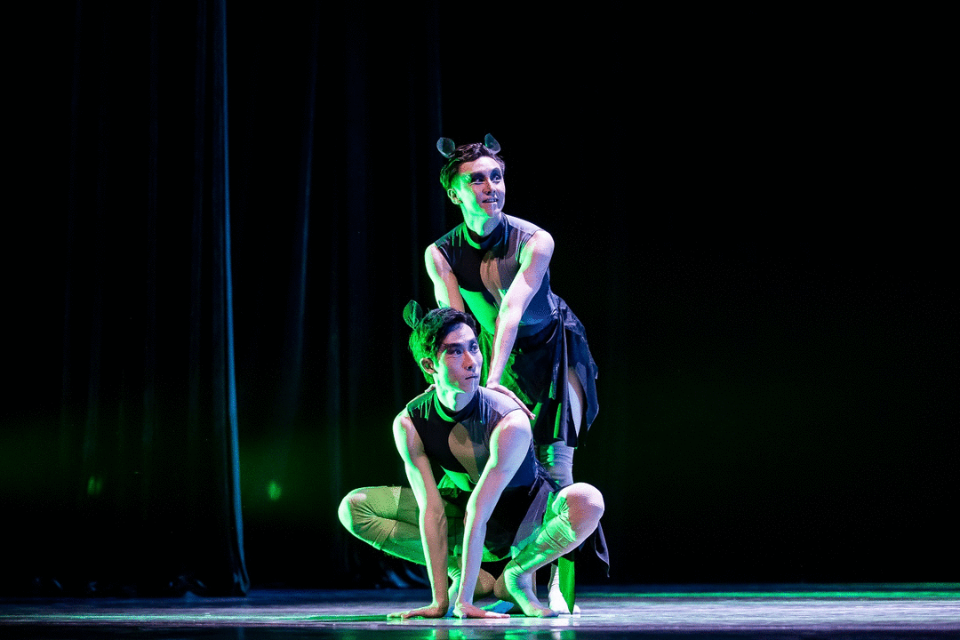 2021舞剧《田园》南宁站门票价格、剧目详情